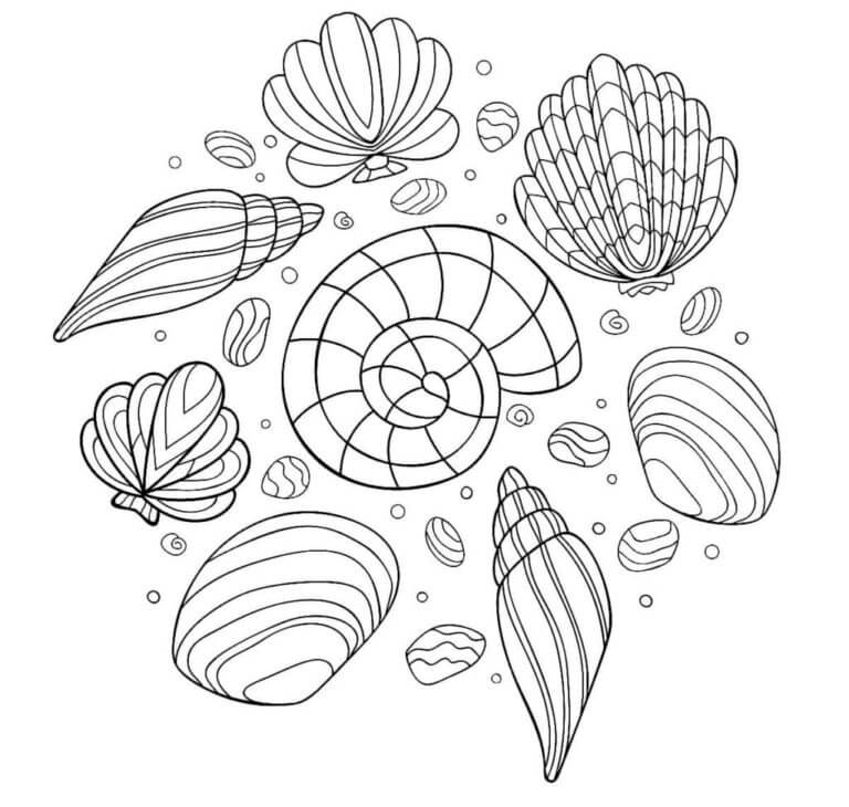 Fragile seashells coloring page