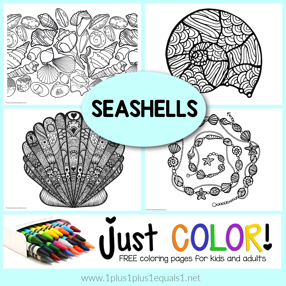 Seashell coloring pages