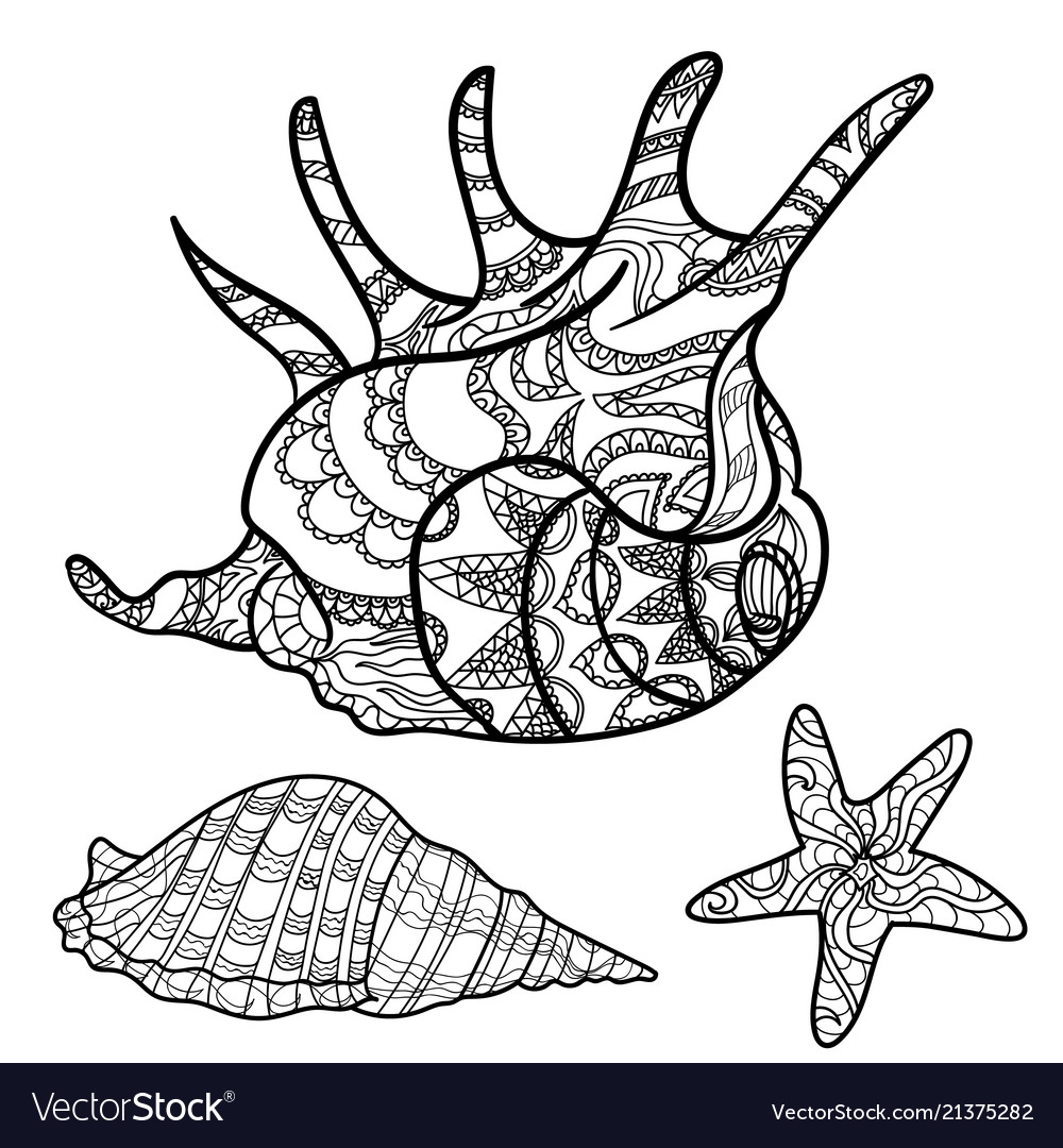 Seashells shell pattern set coloring book vector image