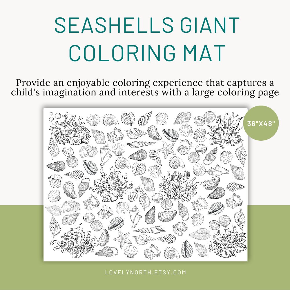 Seashells giant coloring page