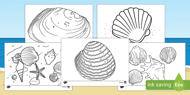 Seashell louring sheets teacher made