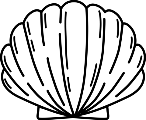 Seashell coloring page free printable coloring pages