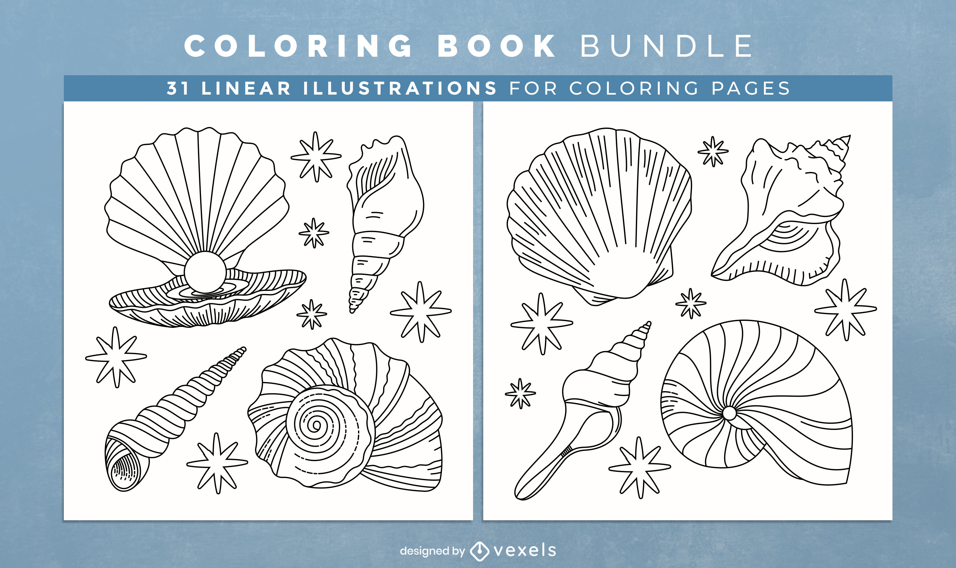 Seashell ocean coloring book pages design vector download