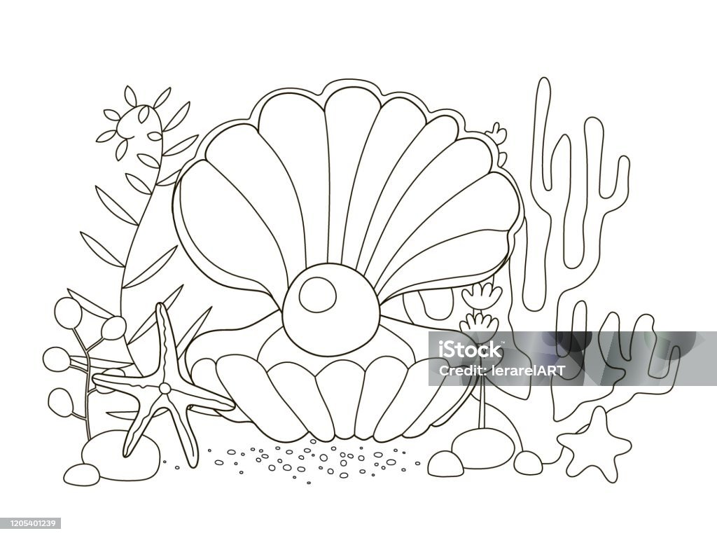 Vector beautiful coloring book for adults and children with a large shell and pearls among algae starfish and corals a series of coloring books with marine animals cute seashell and oyster with