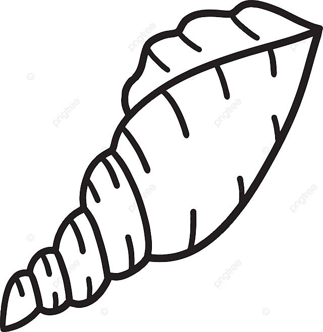 Sea shell isolated coloring page for kids graphic clip art aquatic vector lip drawing sea drawing ring drawing png and vector with transparent background for free download