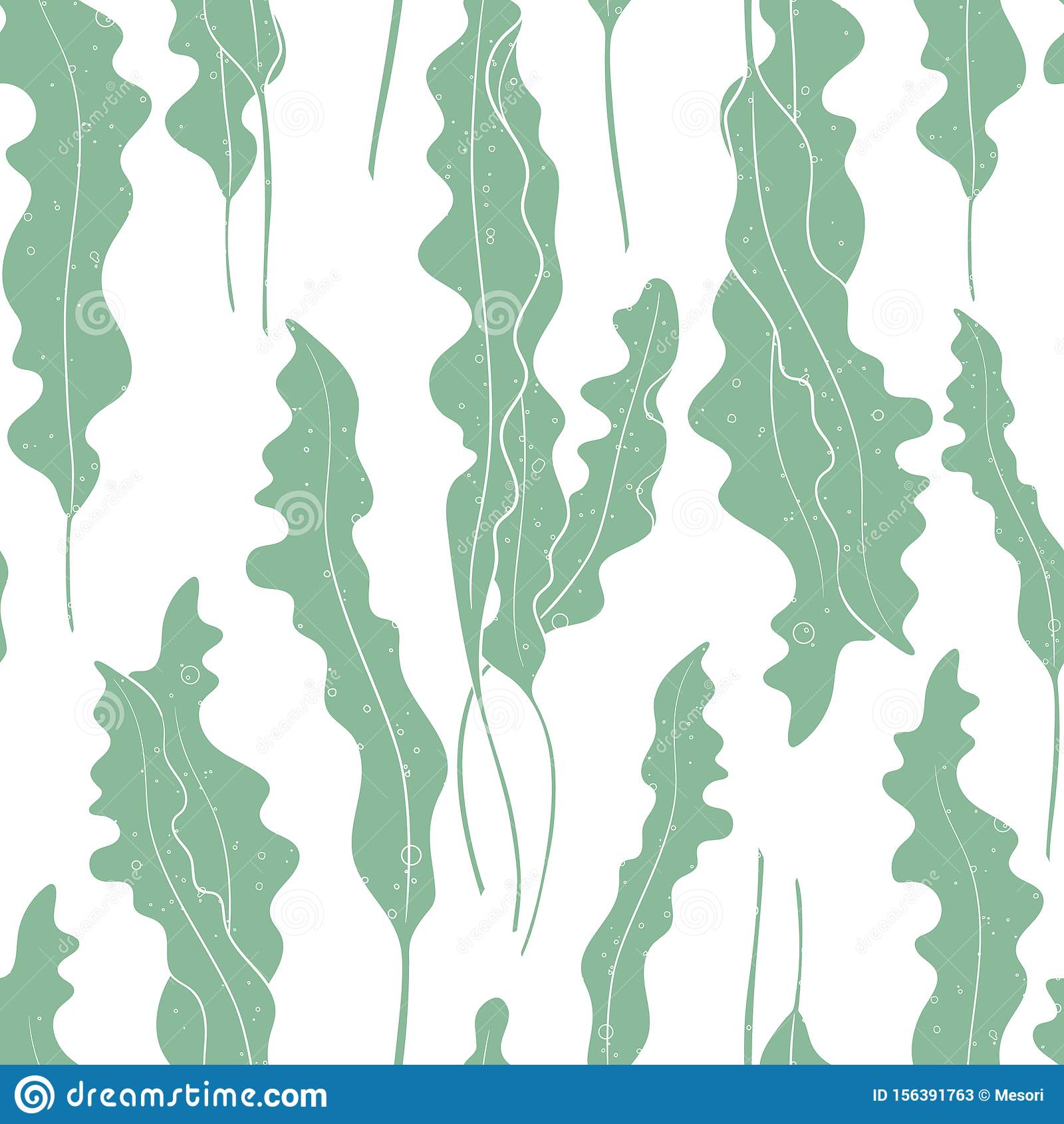 Download Free 100 + seaweed Wallpapers