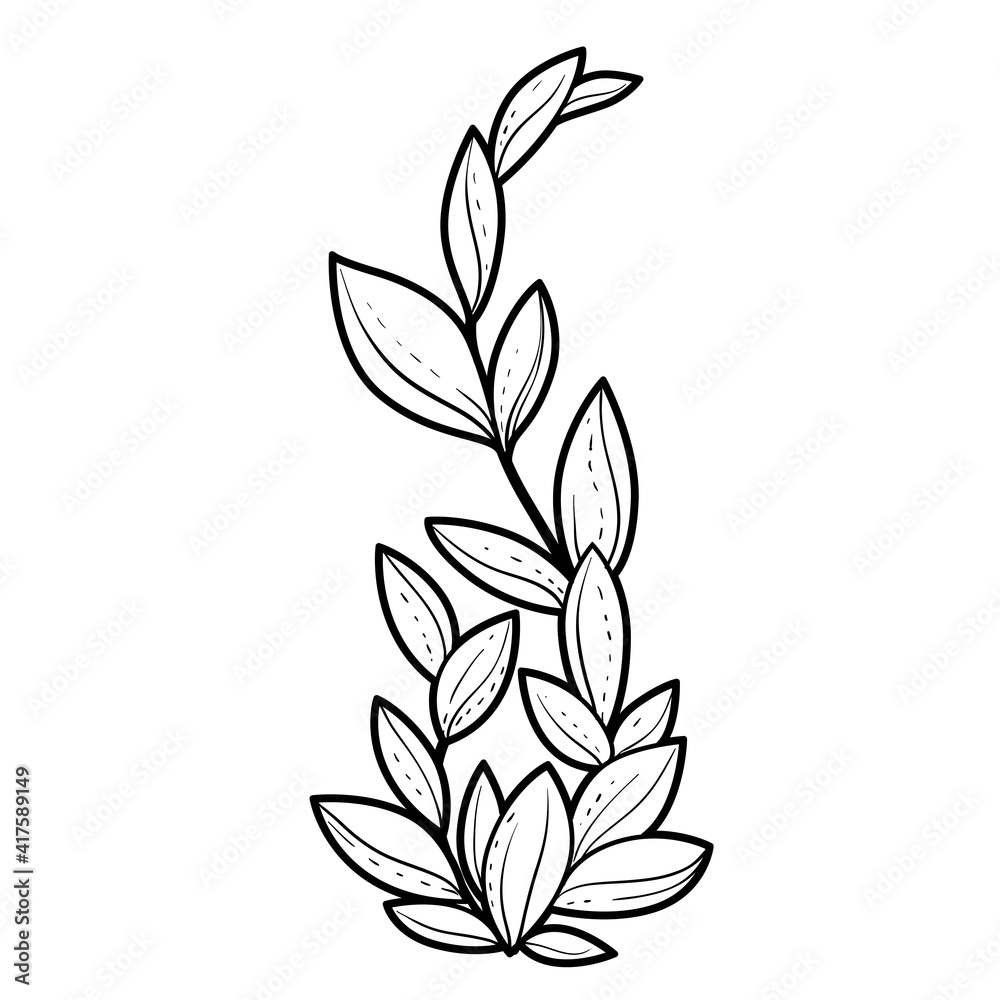 Tall seaweed coloring book linear drawing isolated on white background vector