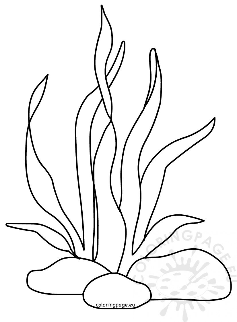 Ocean coloring page printable seaweed coloring page