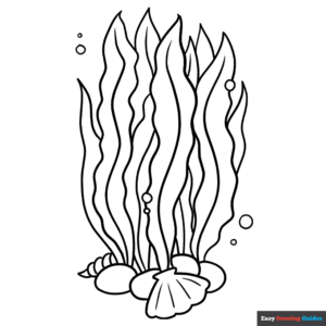 Seaweed coloring page easy drawing guides