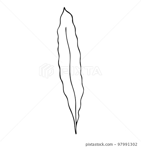 Black and white seaweed coloring page hand