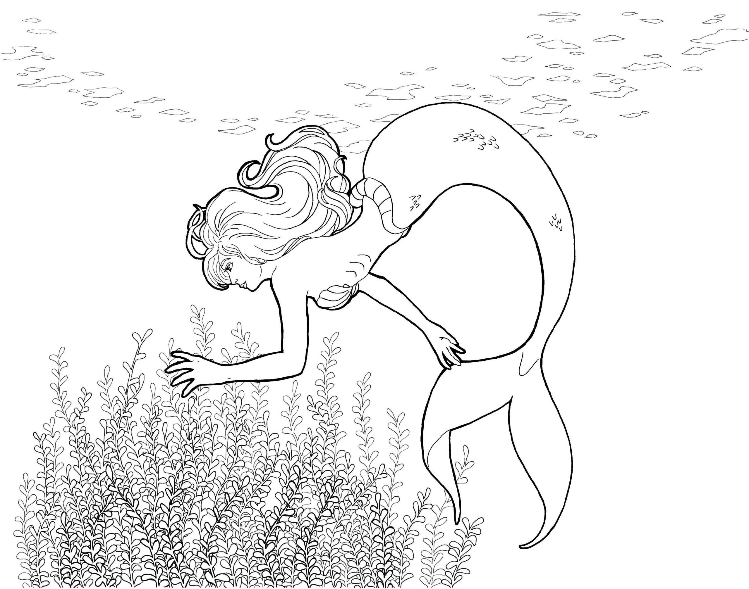 Seaweed garden coloring page â norma sue oneil