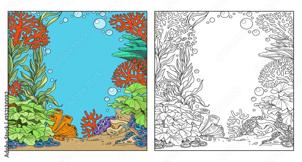 Underwater world with corals seaweed and anemones coloring page on white background vector