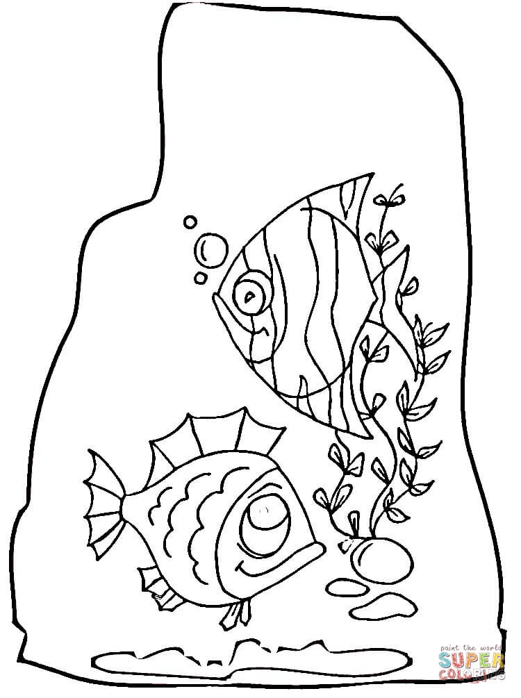 Seaweed coloring page free printable coloring pages