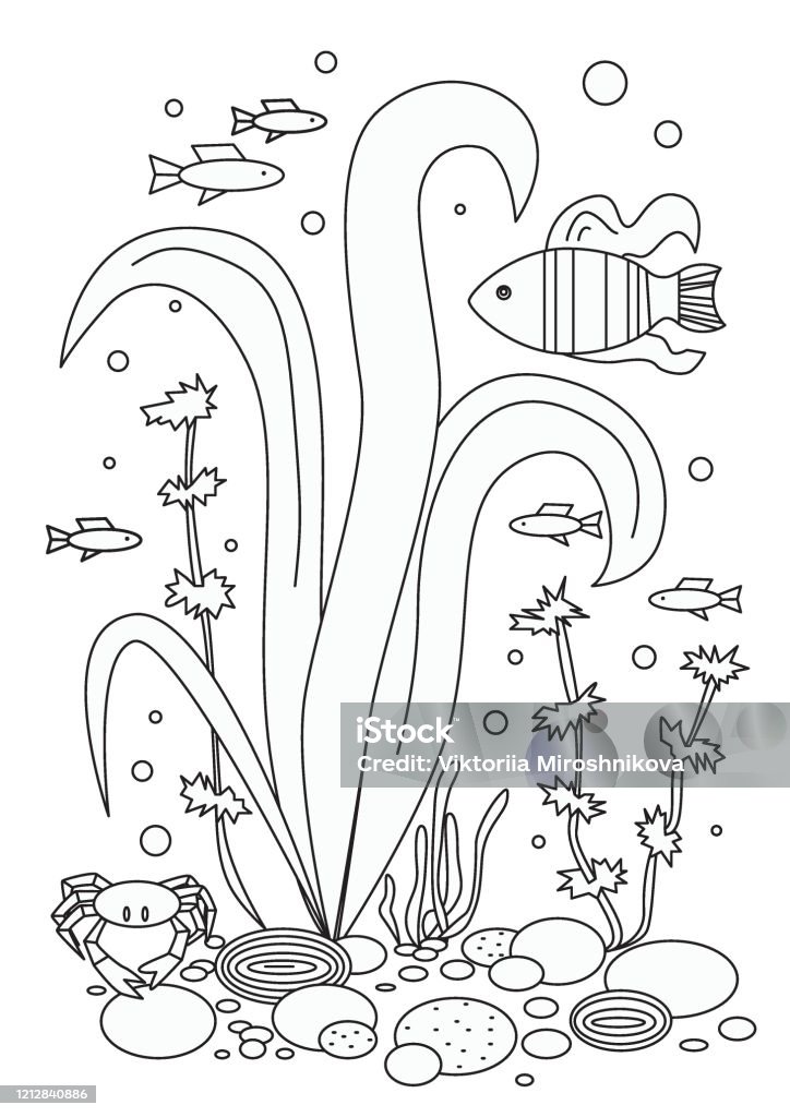 Algae crab and fish on a white background as a coloring page outline vector stock illustration with ocean or sea and animal in a format stock illustration