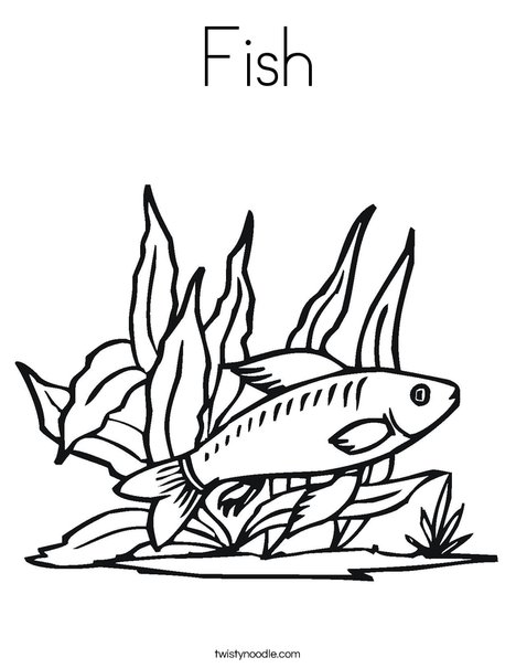 Fish coloring page