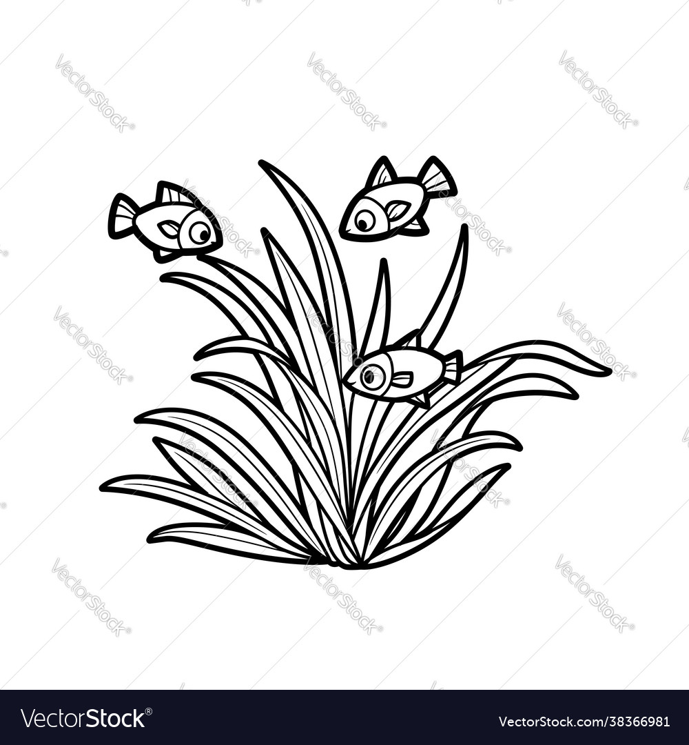 Fish in seaweed coloring book linear drawing vector image