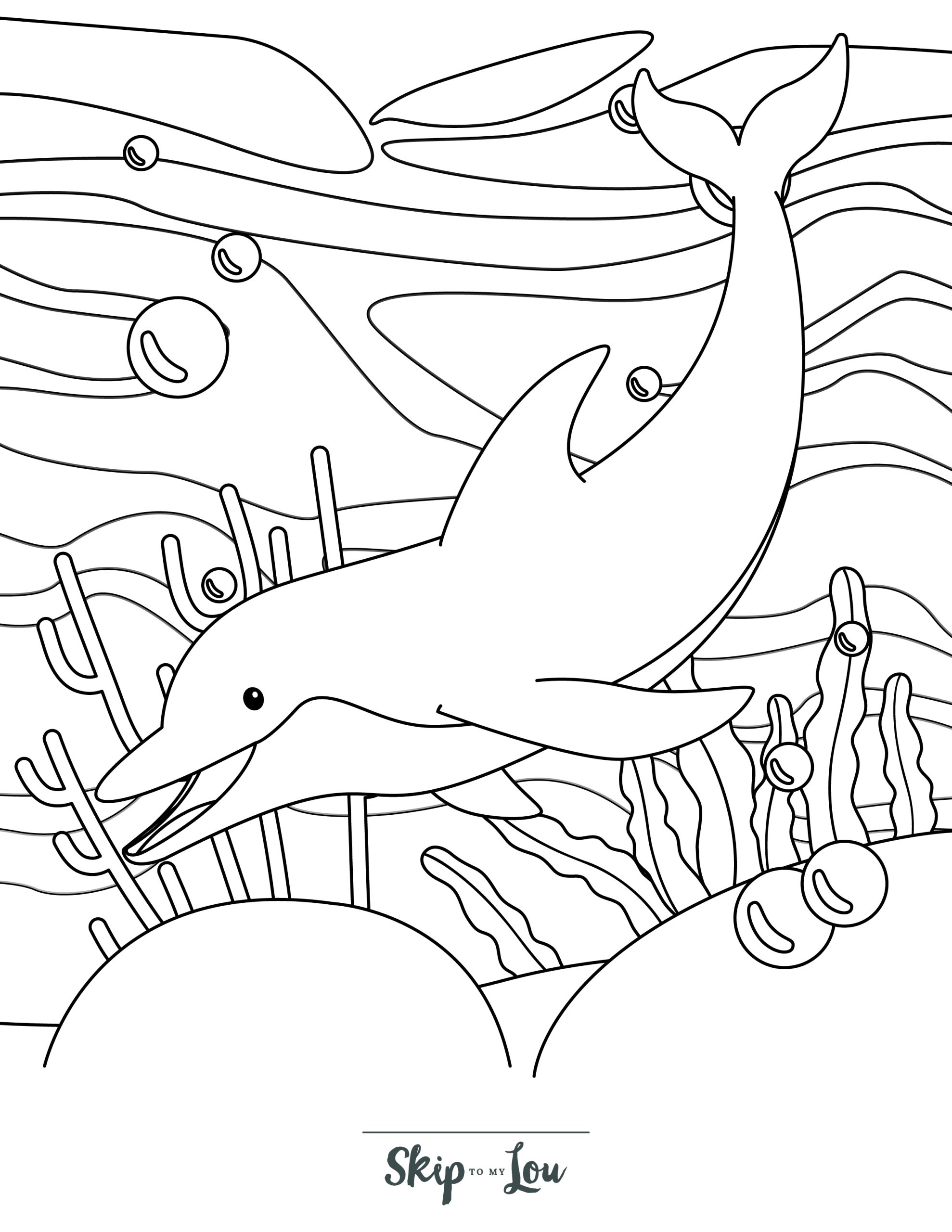 Dolphin coloring pages