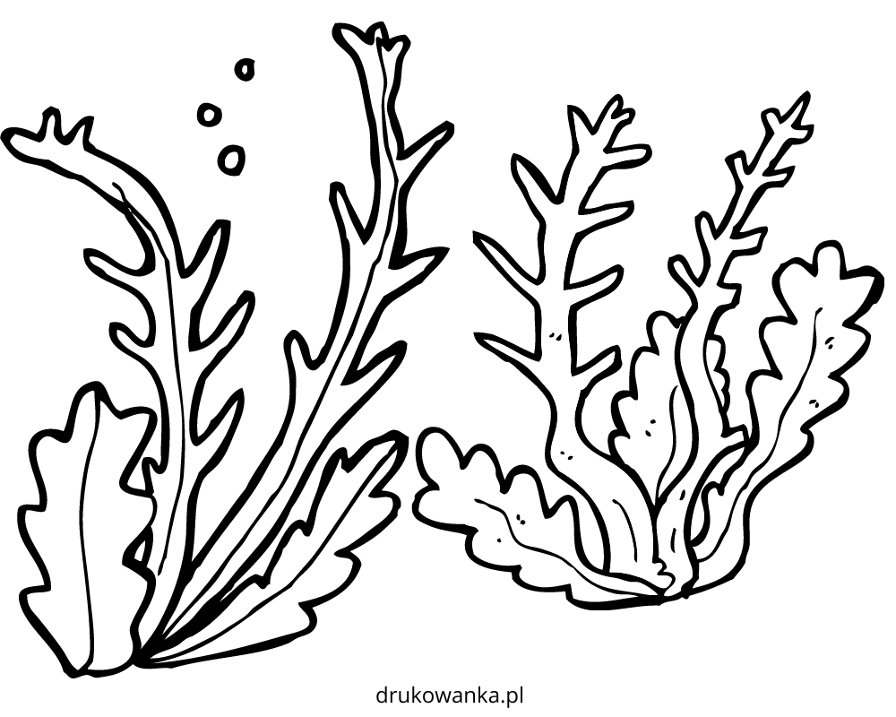 Seaweed coloring book to print and online