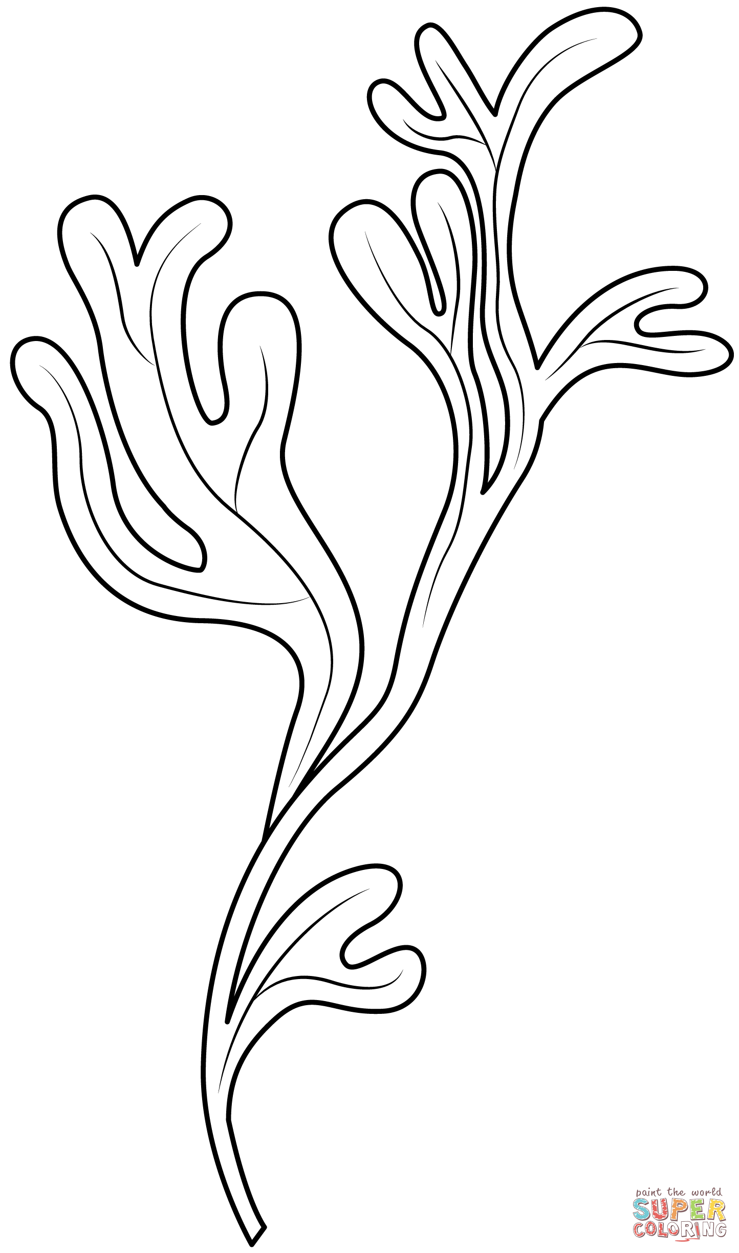 Seaweed coloring page free printable coloring pages