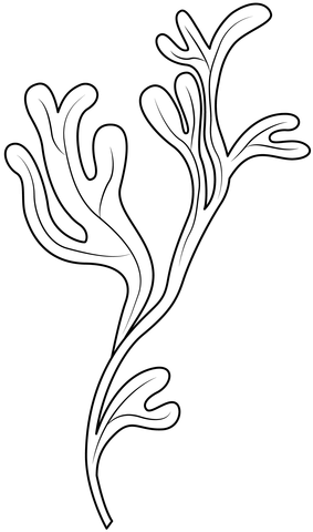 Seaweed coloring page free printable coloring pages