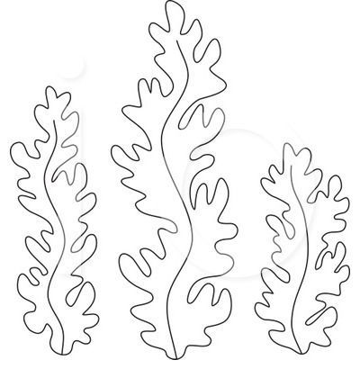 Seaweed coloring pages ocean crafts sea theme