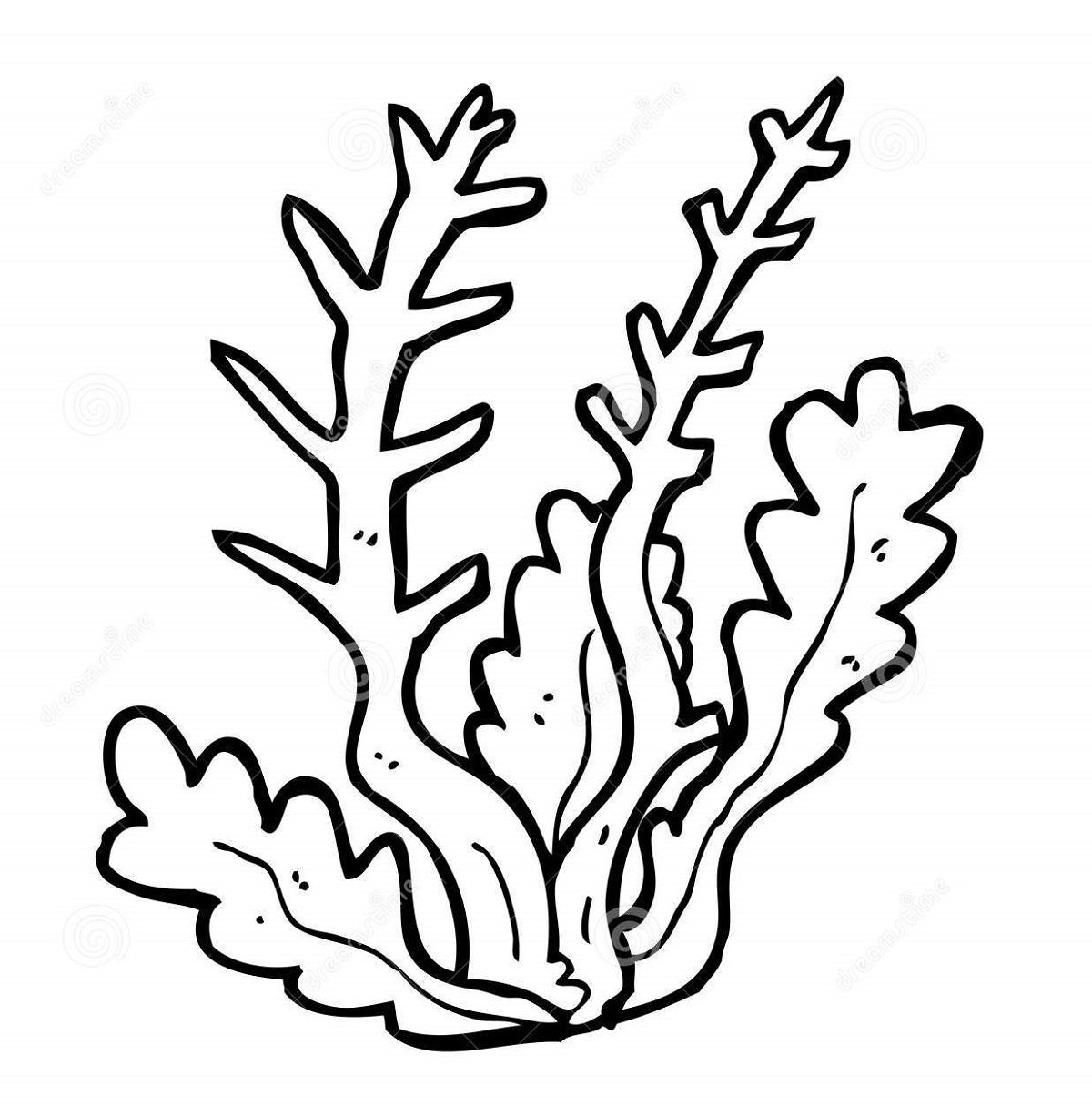 Seaweed coral coloring pages for kids educative printable coloring pages printable coloring pages seaweed