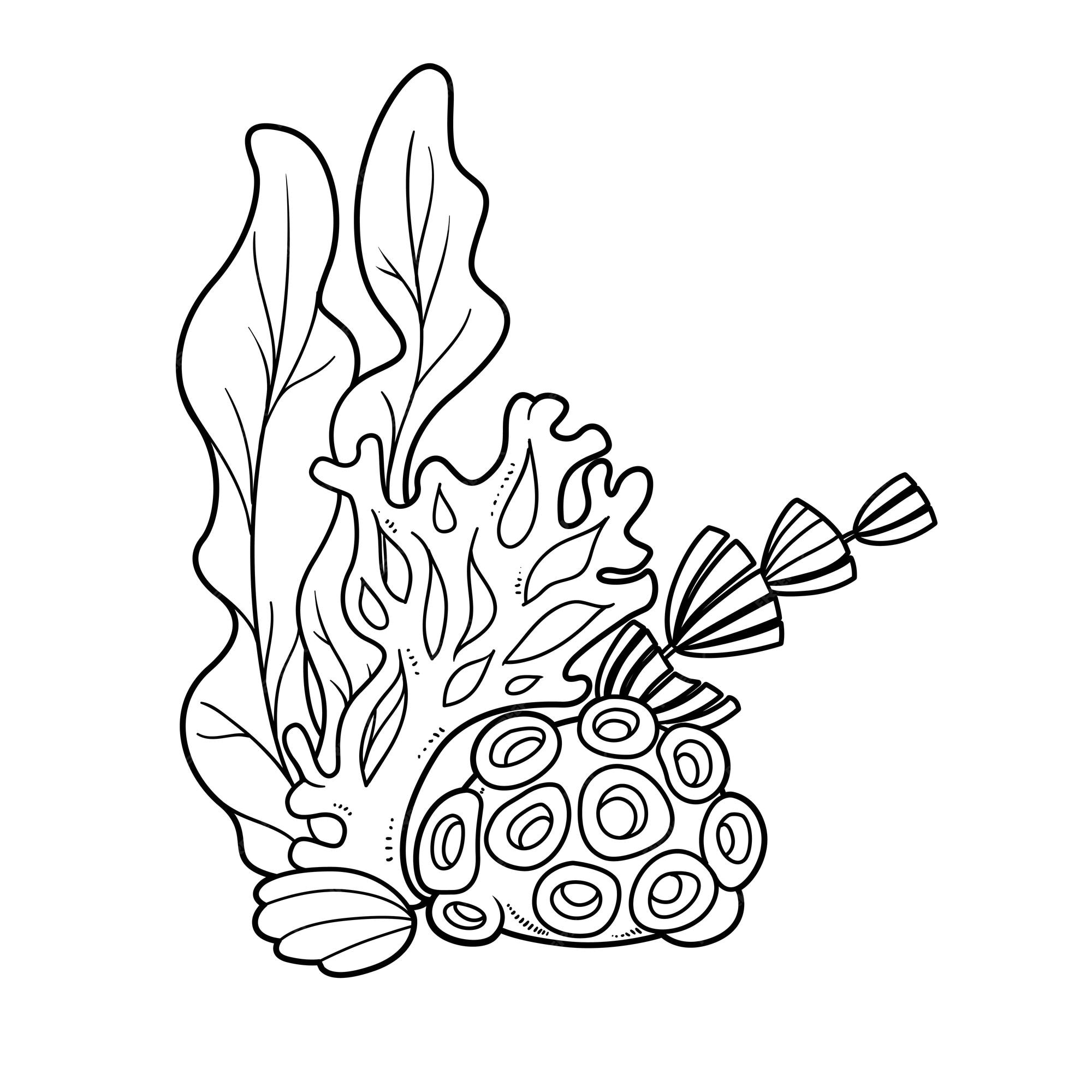 Premium vector cartoon sea objects with seaweed and coral outlined for coloring page isolated on white background