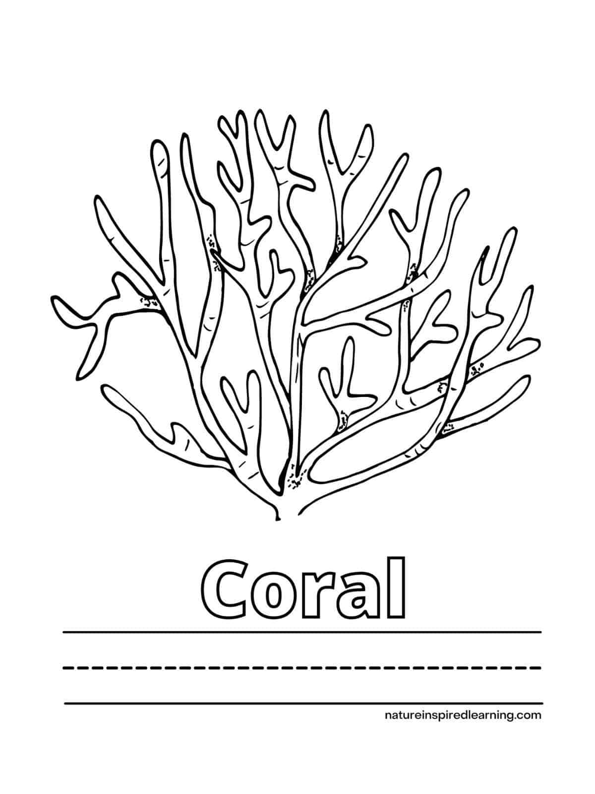 Coral reef coloring pages for kids