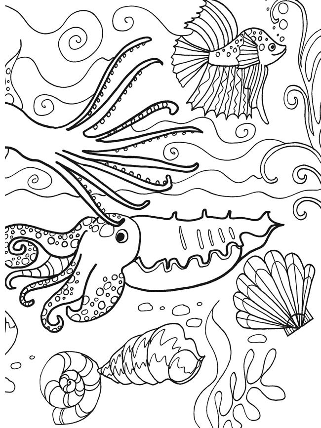 Wele to dover publications ocean coloring pages coloring pages dover coloring pages