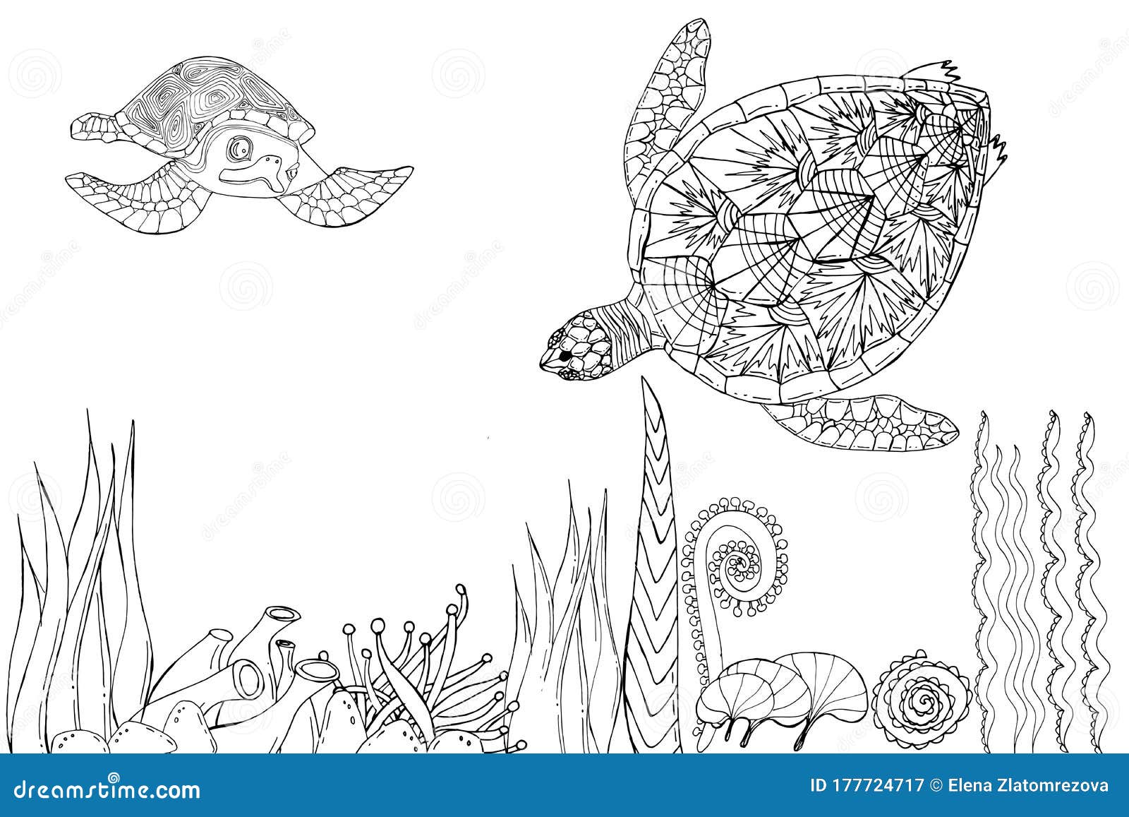 Sea turtle swimming among seaweed coloring book stock illustration