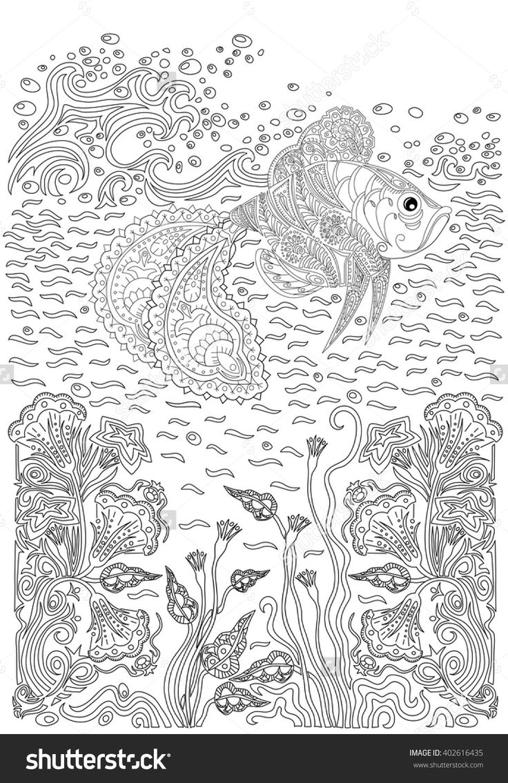 Ððð ðð ððñðºðµ â under the sea fish mermaids shells colourg colorg pages