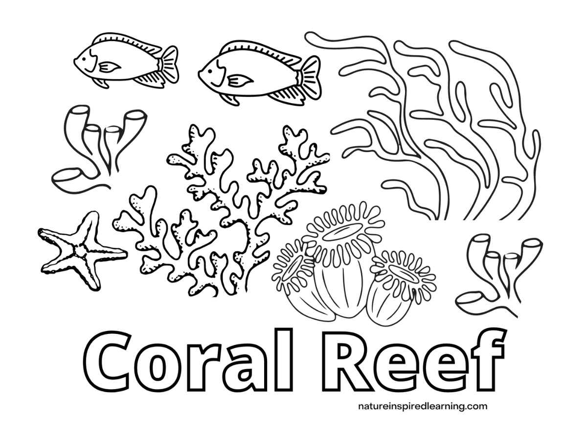 Coral reef coloring pages for kids