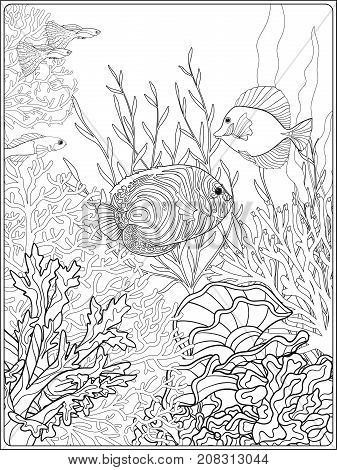 Adult coloring book vector photo free trial bigstock