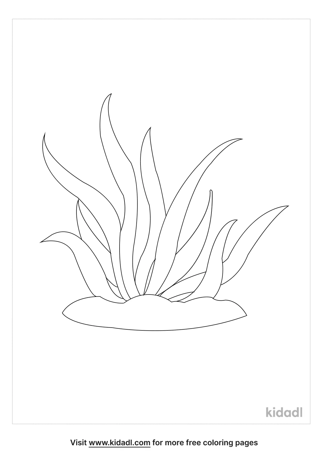 Free seaweed coloring page coloring page printables