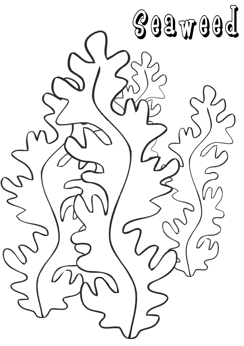 Seaweed coloring pages coloring pages to download and print