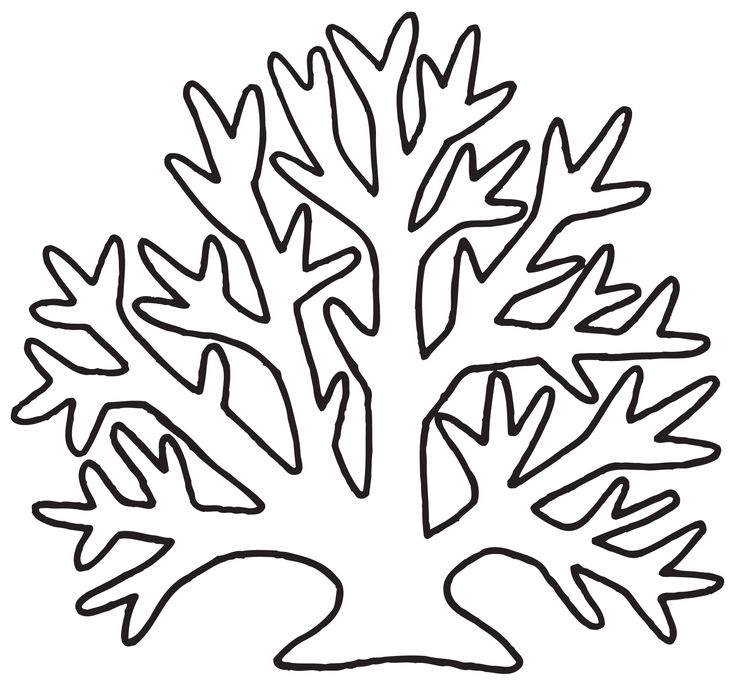 Seaweed branch coloring pages for kids educative printable coloring pages for kids coloring pages coloring sheets for kids