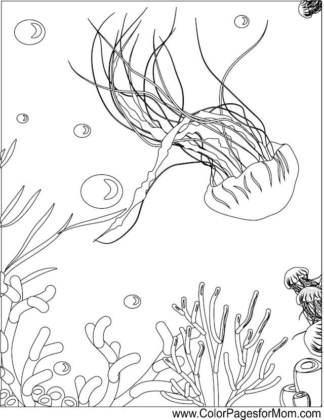 Sea coloring page ocean coloring pages coloring pages easy doodle art