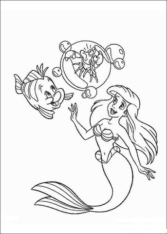 Ariel sebastian and flounder coloring page free printable coloring pages
