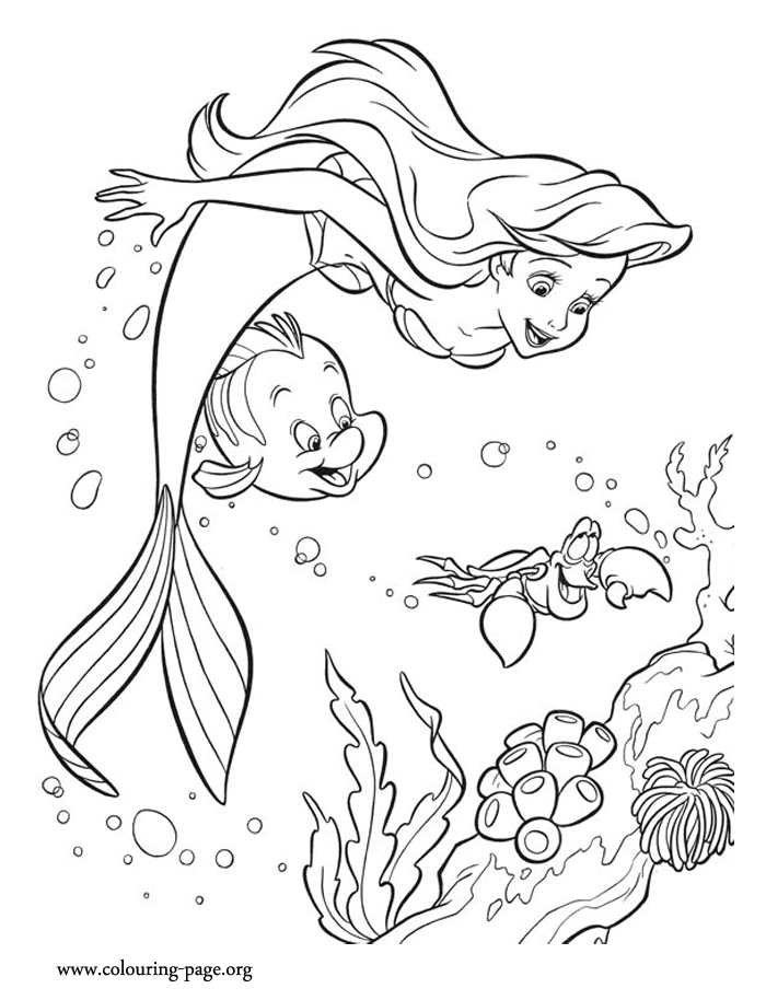 Ariel loves have fun with sebastian and flounder what about coloring this amazing scene from the little meâ fargelegging fargeleggingsbok fargelegging for barn