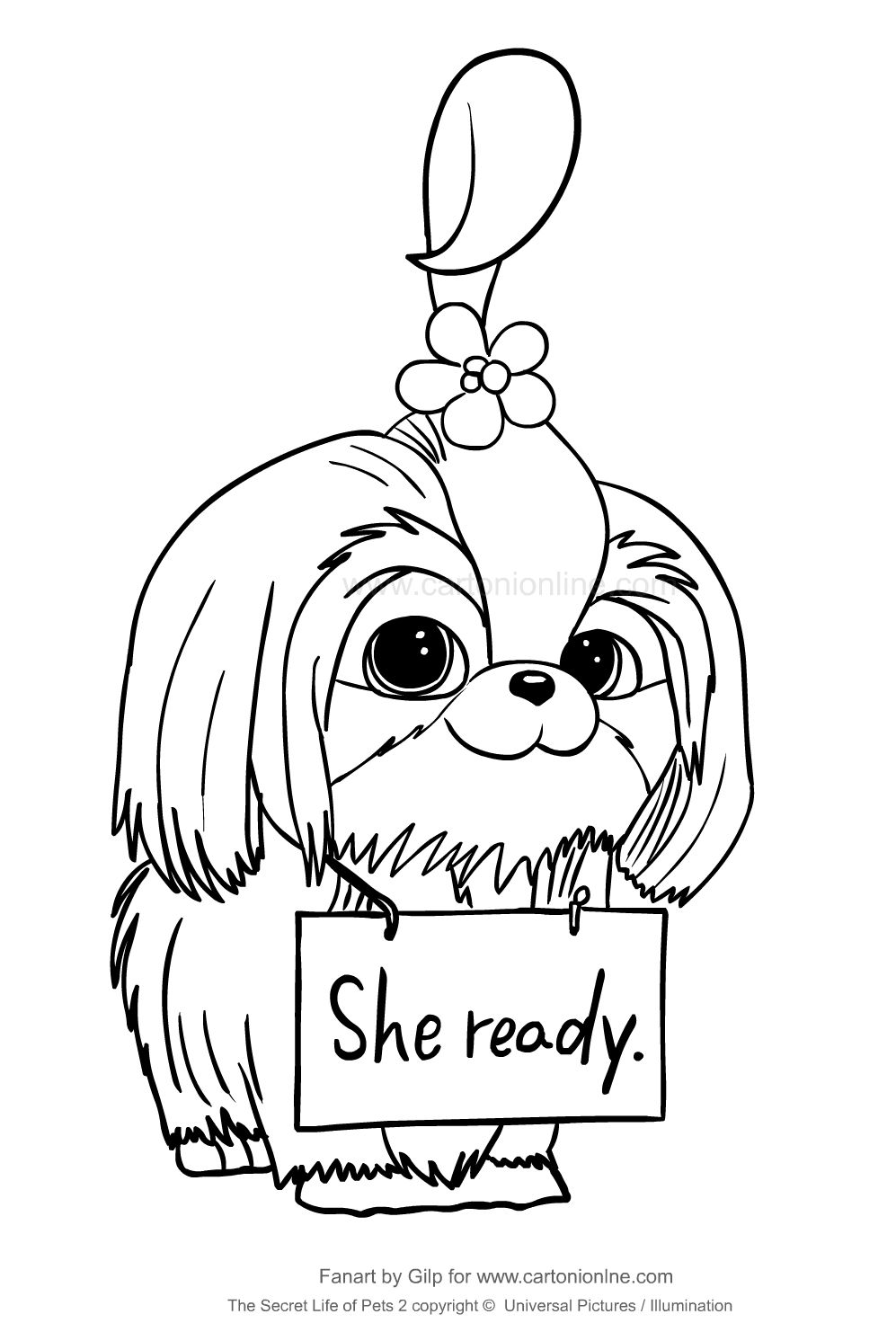 Daisy from the secret life of pets coloring page to print and coloring secret life of pets pets drawing coloring pages