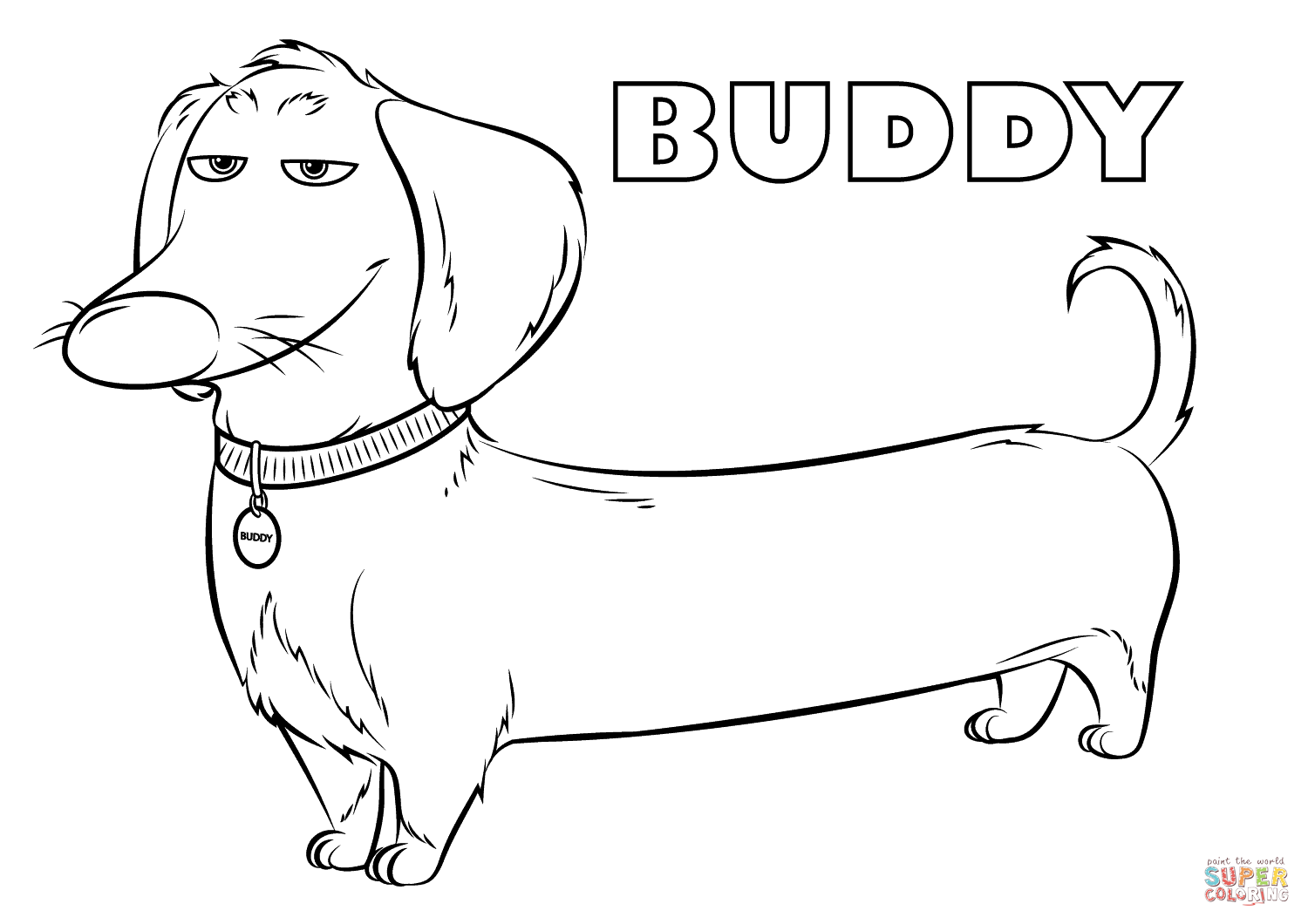 Buddy from the secret life of pets coloring page free printable coloring pages