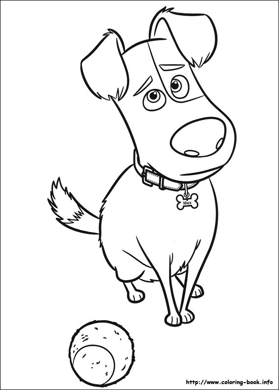 The secret life of pets coloring picture