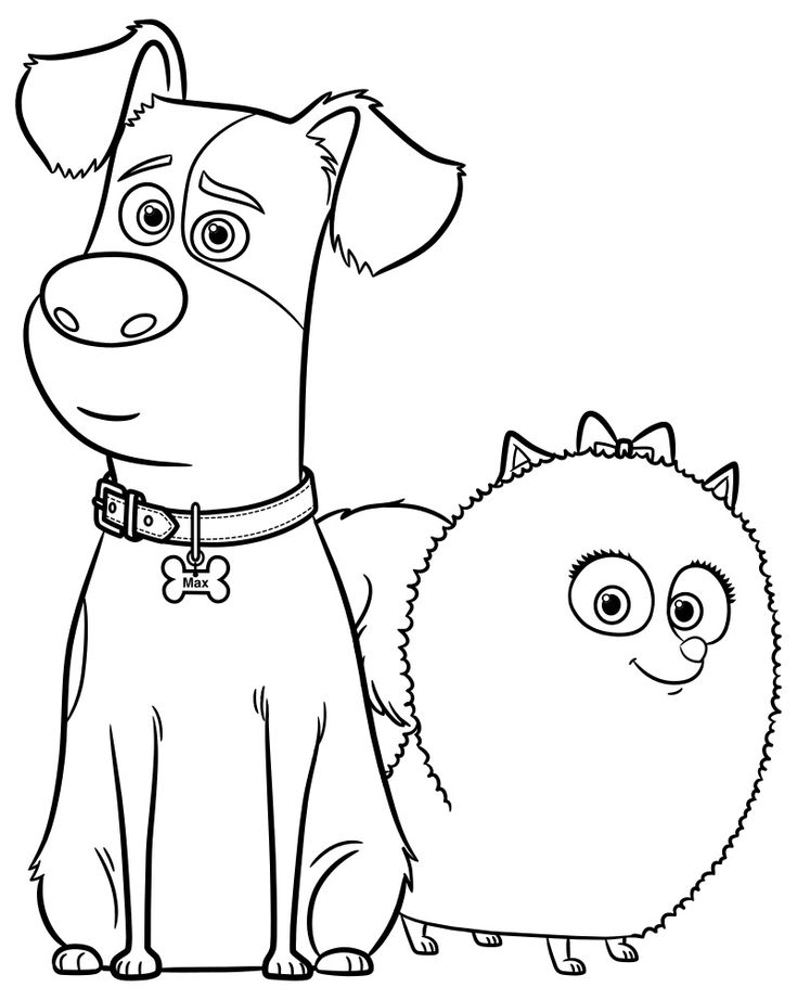 The secret life of pets coloring pages print them for free secret life of pets puppy coloring pages coloring pages