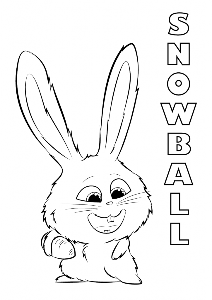 The secret life of pets coloring pages