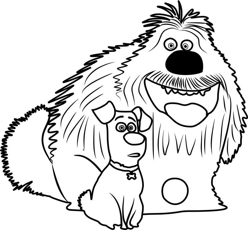 The secret life of pets coloring pages