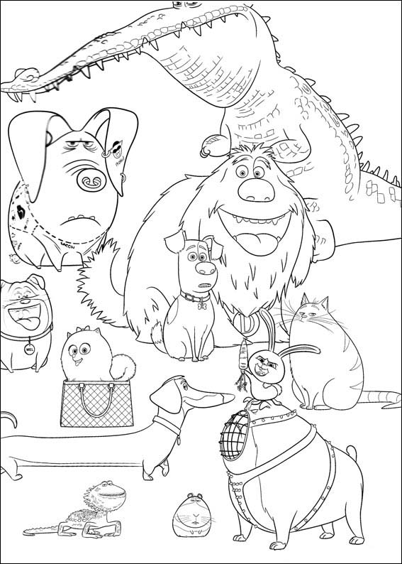 The secret life of pets coloring sheet