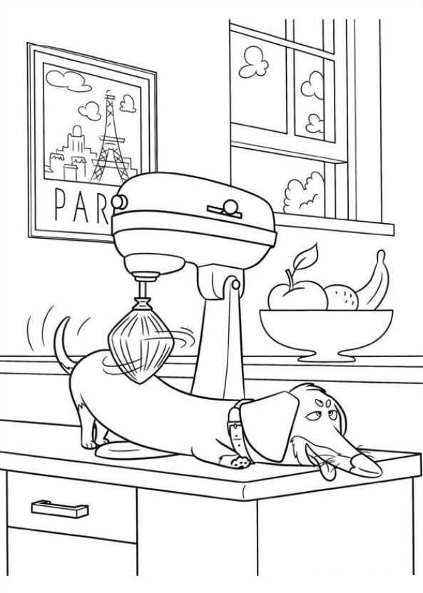 The secret life of pets coloring pages