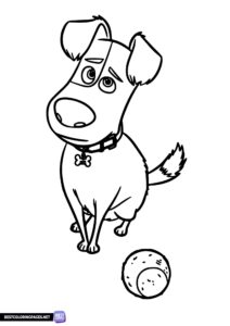 The secret life of pets coloring page