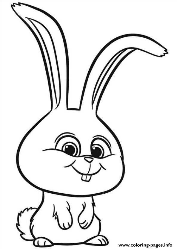 Print cute rabbit secret life of pets coloring pages secret life of pets coloring pictures coloring pages for kids