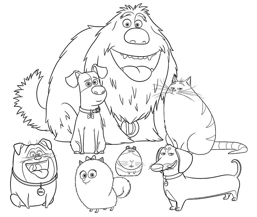 The secret life of pets coloring pages